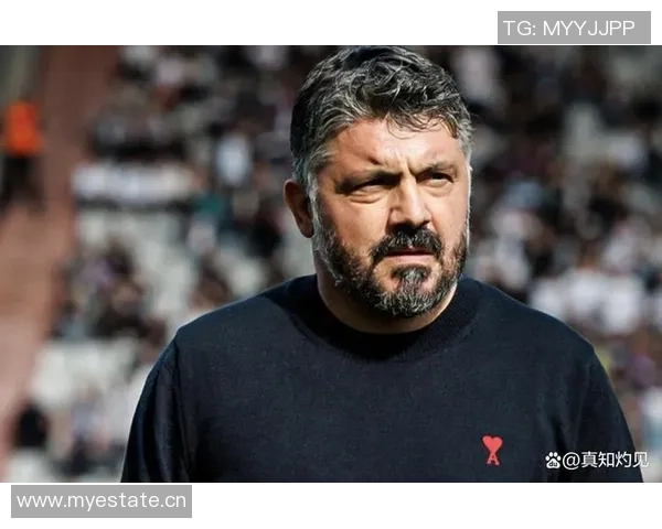 泰尔齐奇谈意甲兴趣加图索有能力打造强大意大利队