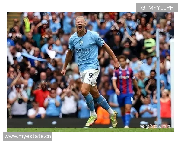 新世纪五大联赛球员连续进球纪录莱万14场领衔哈兰德范尼紧随其后